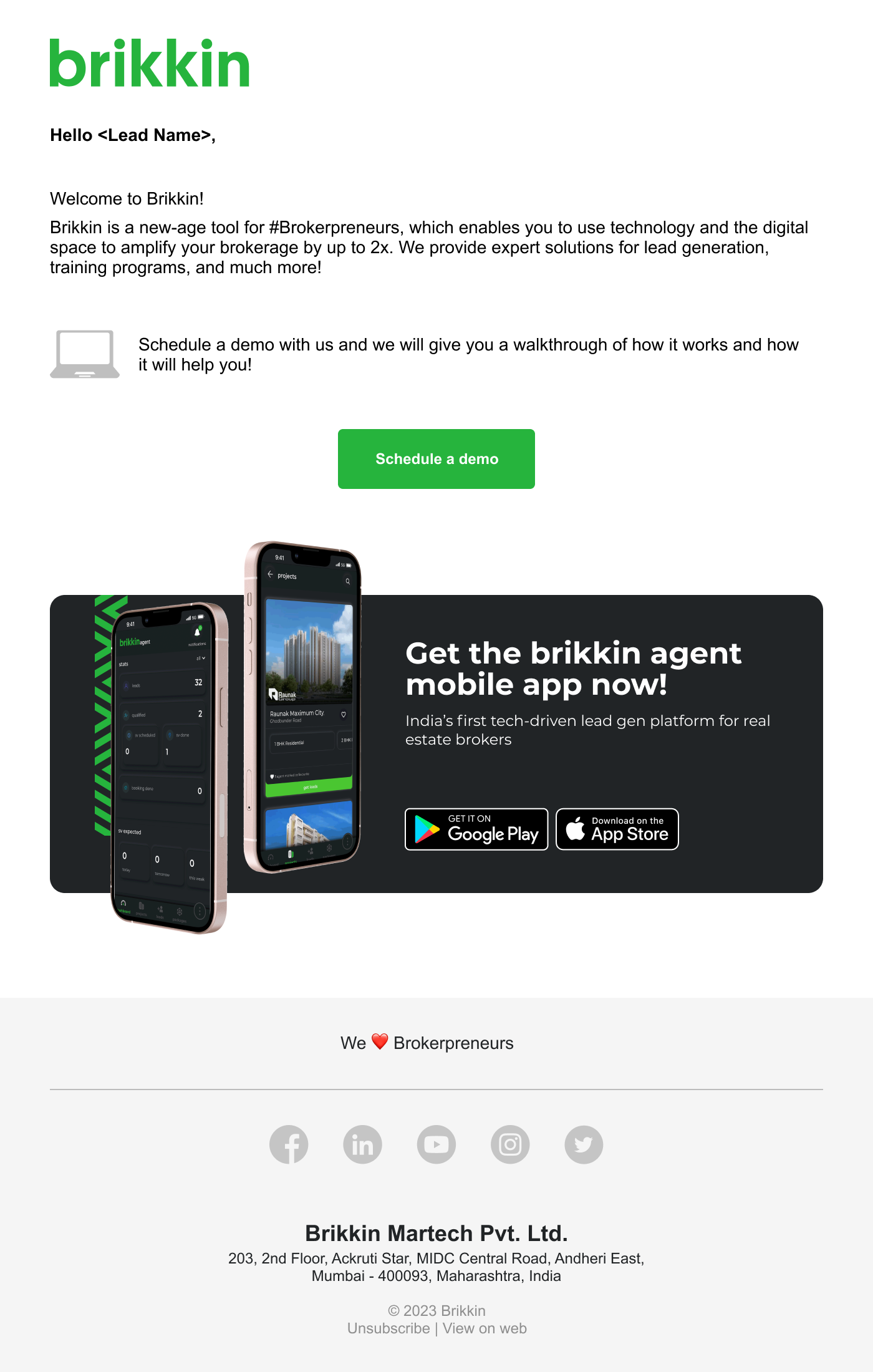 Brikkin Emailer Design